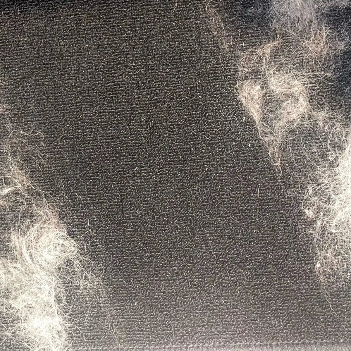 Fur-nado: The Ultimate Fuzz Fighter!