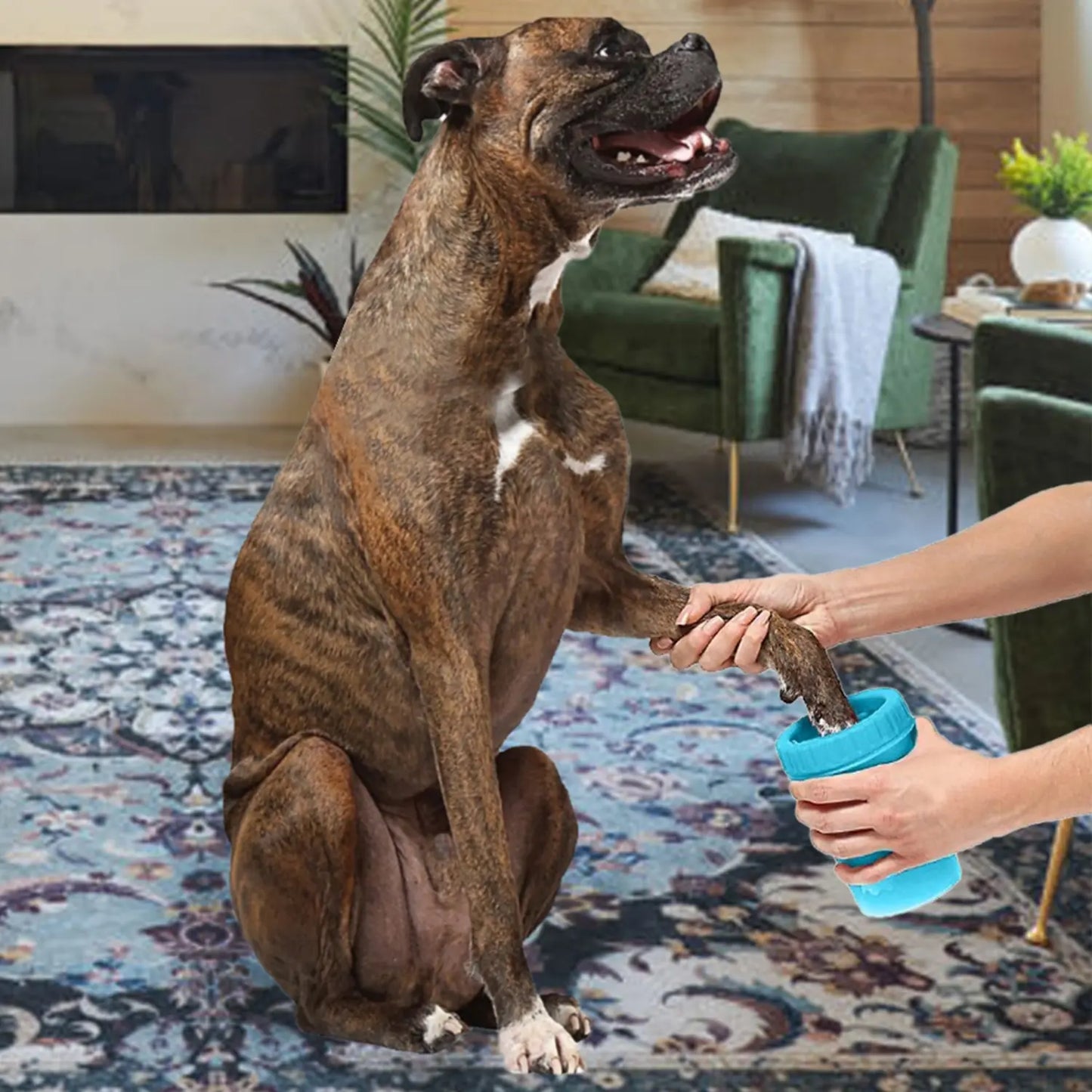 Traveling Spa for Paws: The Ultimate Wet Wipe Adventure for Your Furry Foot Soldiers!