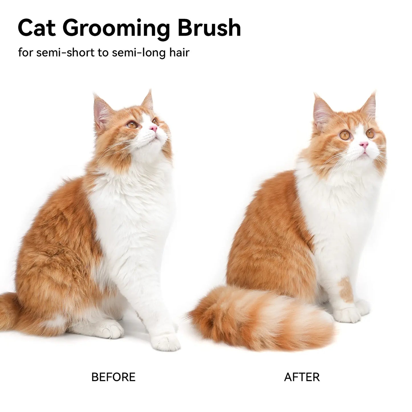 Aumuca Cat Deshedding Brush - Fur Removal Tool for Long/Short Haired Cats, Kittens & Dogs, Pet Grooming Supplies with Massage Function to Remove Loose Fur